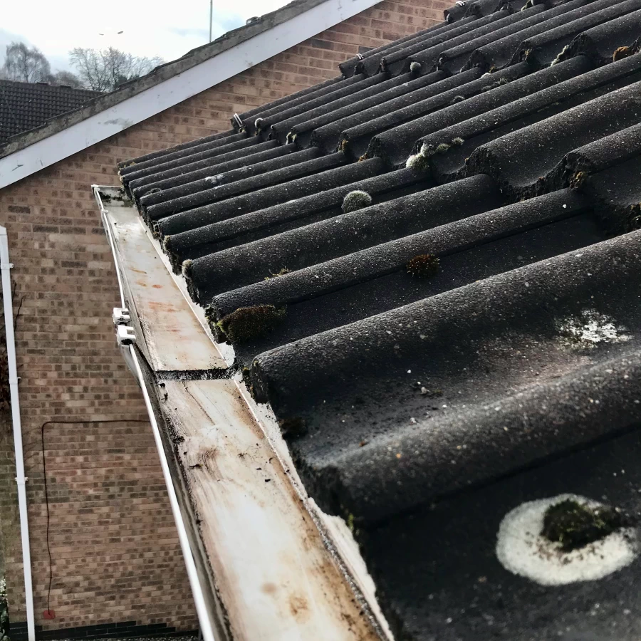 Facias & Gutter Cleaning