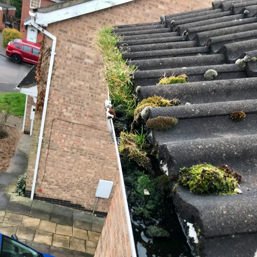 Facias & Gutter Cleaning